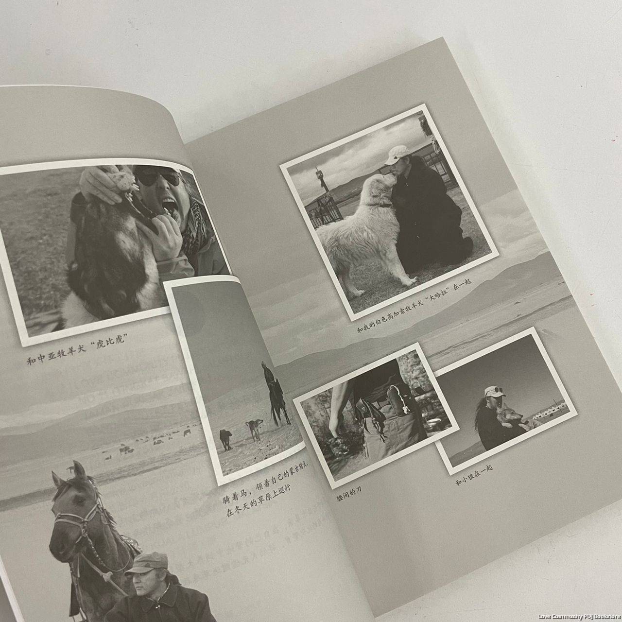 驯鹿六季（社区关怀工作室出版）